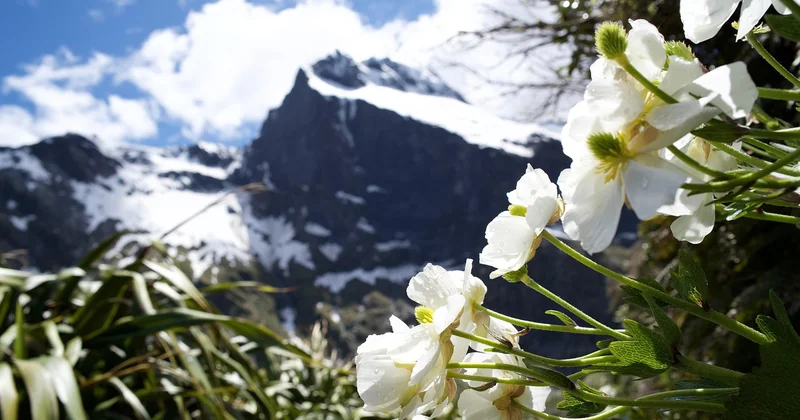Le Milford Track : le plus mythique, à réserver des mois à l'avance