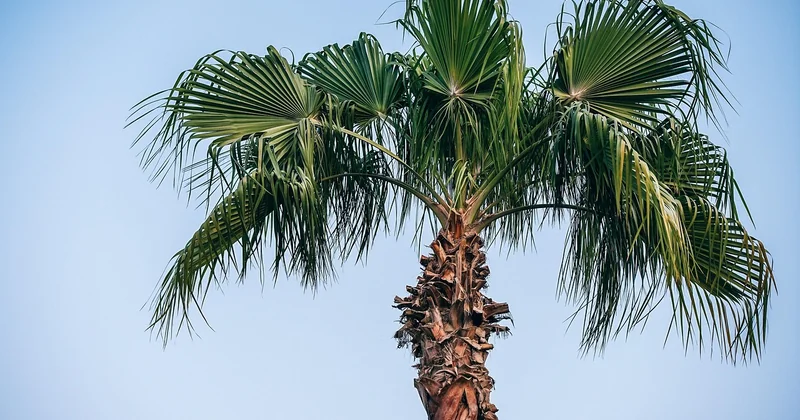 Comment s'habiller au Maroc : la vraie réponse, par contexte